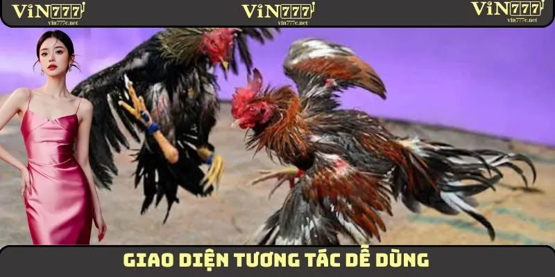 Xem Đá Gà Trực Tuyến VIN777 - Chất Lượng Cao, Sắc Nét 1 Giao diện tương tác dễ dùng